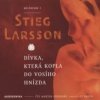 Larsson Stieg - Dívka,která kopla do vosího hnízda / MP3 / 2CD [2 CD]