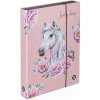Box na zošity A4 Jumbo Oxybag horse romantic
