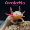 Axolotls, 30,5 x 30,5 30,5 x 61 cm 2026