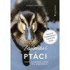 Zajímaví ptáci - Daniela Straußová