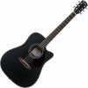 Pasadena PDC-200 Black Akustická gitara