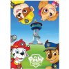 Detská deka fleece PAW PATROL Detská deka microfleece PAW PATROL