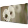 Sklenený obklad Do kuchyne Kvet rastlina príroda 100x50 cm