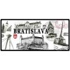 Mesto Bratislava old - ceduľa 30cm x 20cm Plechová tabuľa