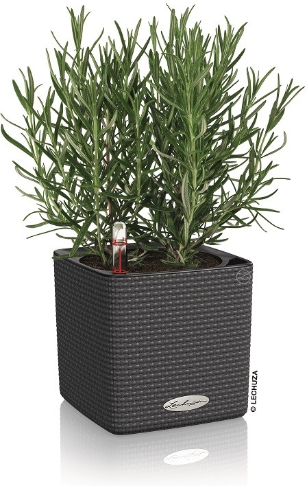 květináč Lechuza Cube Trend 14 cm Slate od 9,6 € - Heureka.sk