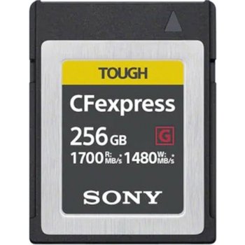 Sony 256GB CEBG256.SYM