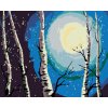 zuty Maľovanie podľa čísel - Brezy, mesiac a padajúci sneh, 50x40 cm, bez rámu a bez vypnutia plátna (8596530031888)