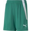 Juniorské šortky Puma, TEAMLIGA SHORTS JR zelená,biela 164