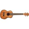 CASCHA Tenor Mahogany Ukulele Sada
