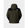 The North Face Mountain Down new taupe green/tnf black
