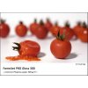 FOMEI A3 (29,7 x 42cm)/50 FomeiJet PRO Gloss 300 - FOMEI A3 , 50 listů, 300 g/m2 (EY5834)