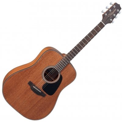 Takamine GD11M