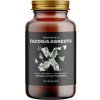 BrainMax Fadogia Agrestis 10:1 120 vegan kapsúl