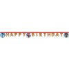Procos Banner Happy Birthday - Sonic
