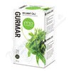 Gurmar bylinný čaj 20x1.5g Fytopharma