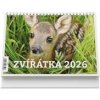 Zvířátka 2026 - stolní kalendář - autor neuvedený