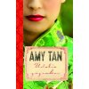 Údolie zázrakov - Amy Tan