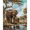 Diamondi Diamantové maľovanie - AFRICKÉ SAFARI SLONY Rámovanie: bez rámu a bez vypnutia plátna, Rozmer: 40x50 cm