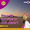 My Gulf World and Me Level 6 non-fiction reader: How to survive in the desert (Riddle Kate)