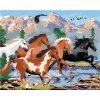 Maľovanie podľa čísel Divoké kone v horách Howard Robinson