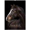 Pferde 2024 - Charakterköpfe vor der Kamera (Wandkalender 2024 DIN A2 hoch), CALVENDO Monatskalender