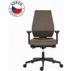 Powerton ERGO SIMA Kancelářské ergonomické křeslo, Béžové