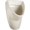SANELA LIVO SLP 31RS