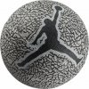 Nike Jordan Skills 2.0
