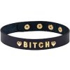 Liebe Seele Choker Bitch (Gold), kožený fetiš obojok