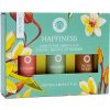 Nefertitis Song of India Sada 3 fľaštičiek zmesí esenciálnych olejov pre aromaterapiu Happiness NF30814 - 3 x 5 ml
