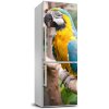 Foto nálepka na chladničku stenu Papošek Ara 60x180 cm