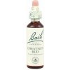 A. Nelson CHESTNUT BUD - Pagaštan konský Objem: 20 ml