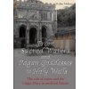 From Sacred Waters and Pagan Goddesses to Holy Wells: the Cult of Saints and the Virgin Mary in Medieval Britain (Robin Melrose)(Brožovaná)