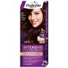 Schwarzkopf Palette Intensive Color Creme R2 tmavý mahagón