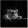 Sklenené nástenné hodiny štvorec Tiger 30x30 cm