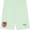 Puma | 1. FC Heidenheim GK Short 2024/25 | zelená| L