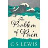 Problem of Pain