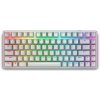 Dell Alienware Pro Wireless Gaming Keyboard 545-BBFR