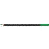 Caran d'Ache umelecká akvarelová pastelka Museum grass green 3510.220