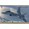 Hasegawa F-22 Raptor, Ace Combat 7 Skies, Mobius 1 1/48 SP571