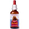 Trávníček Dračia krv - Shiitake tinktúra 50 ml