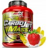 AMIX CARBOJET MASS PROFESIONAL GAINER 3000g