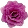 Ruža čínská veľká fialová