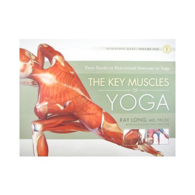 anatomy of yoga –