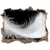 Fototapeta díra na zeď Perie 95x64 cm