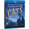 Cats BD