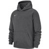 Nike Y NK FLC PARK20 PO HOODIE cw6896-071