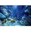 DIMEX | Vliesové fototapety na stenu Morský svet MS-5-0503 | 375 x 250 cm | modrá, červená, žltá + Vliesová fototapeta na stenu DIMEX Morský svet MS50503 v rozmere 375 x 250 cm