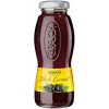 Rauch Čierna ríbezľa 25% 24 x 200 ml