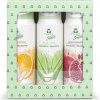 Súprava darčeková Frosch EKO, sprchovacie gély, pomaranč, aloe vera, granátové jablko, 3x 300 ml